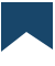 Badge icon